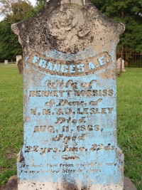 Frances Lesley