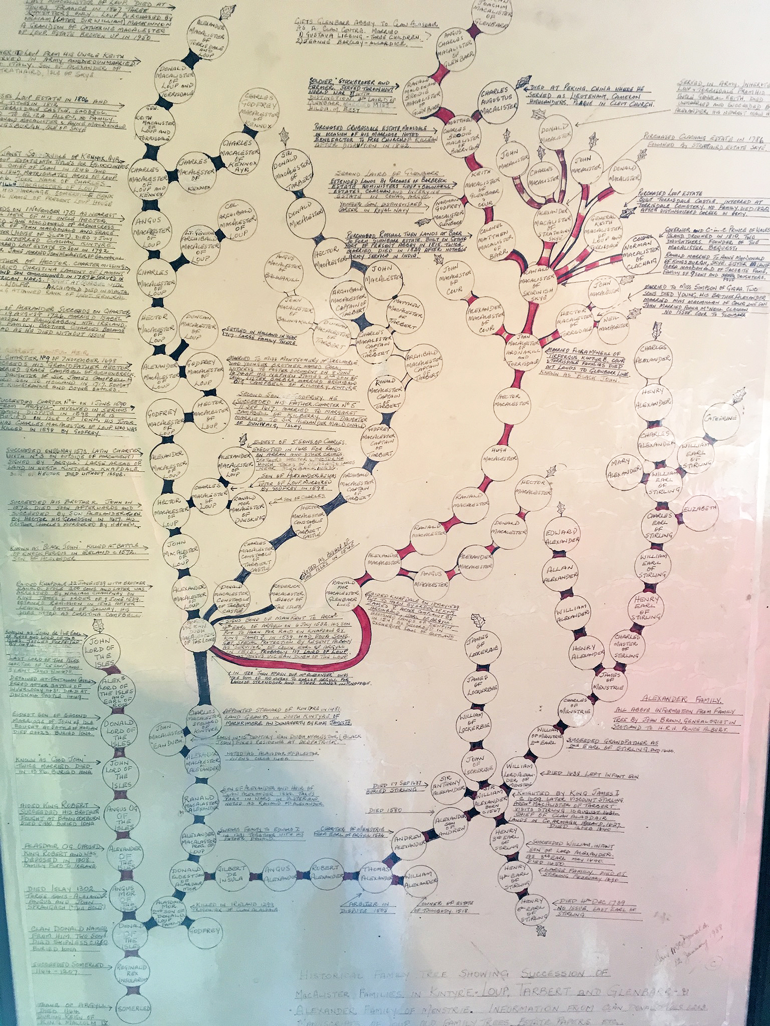 Family Tree at Glenbarr
