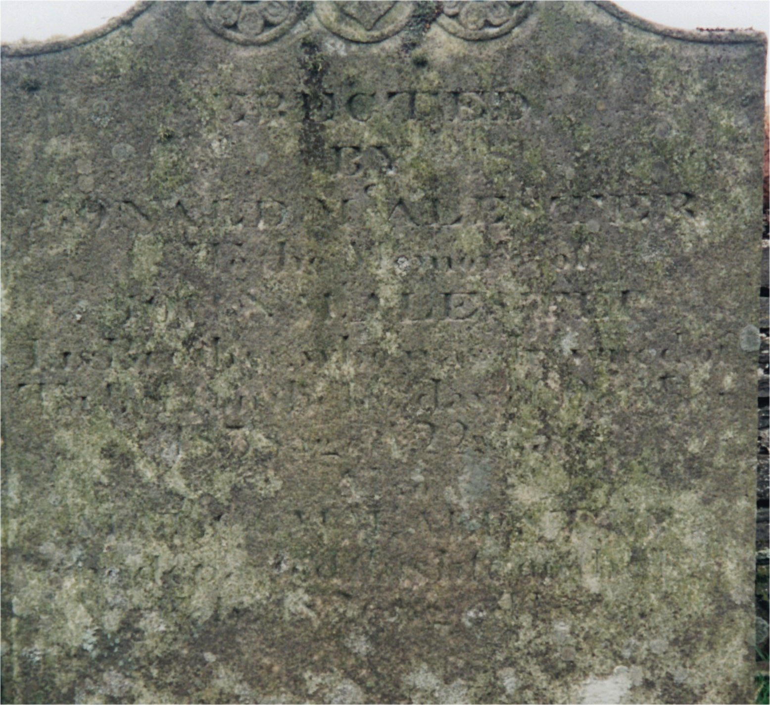 McAlester Stone